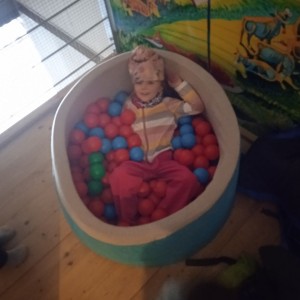 Svišti v ZOO Vyškov